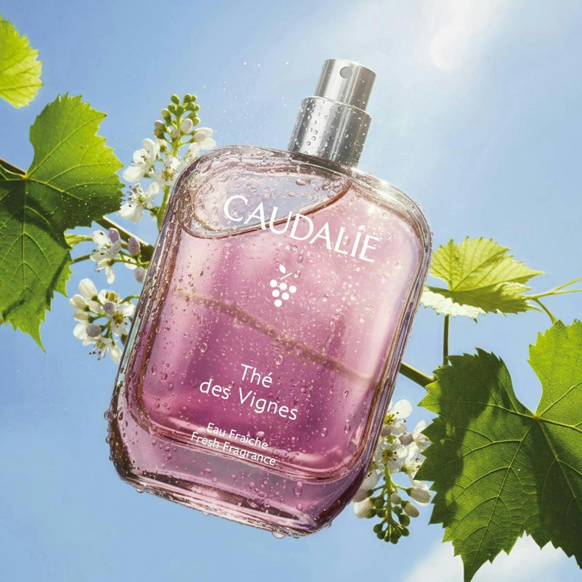 CAUDALIE EAU FRAICHE THE DES VIGNES 50ML NEW