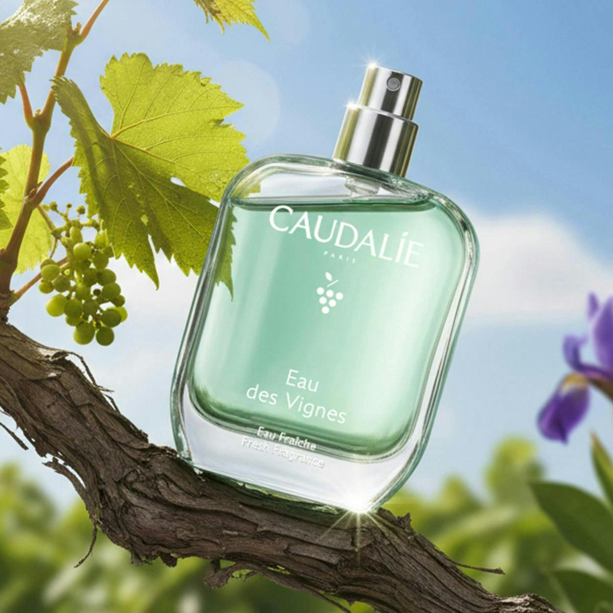 CAUDALIE EAU FRA?CHE EAU DES VIGNES – 50 ML NEW