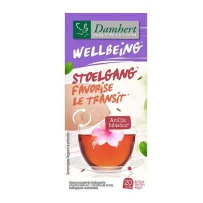DAMHERT TISAN WELLBEING TEA STIMULE LE TRANSIT 20*2G