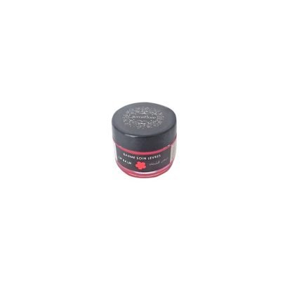 JERRAFLORE BAUME SOIN LEVRES 7G