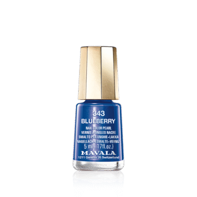 343_BLUEBERRY